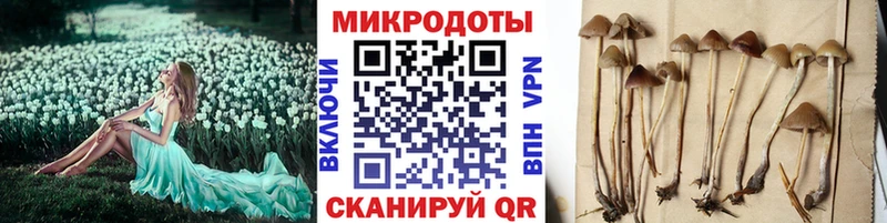 Псилоцибиновые грибы Magic Shrooms Суджа